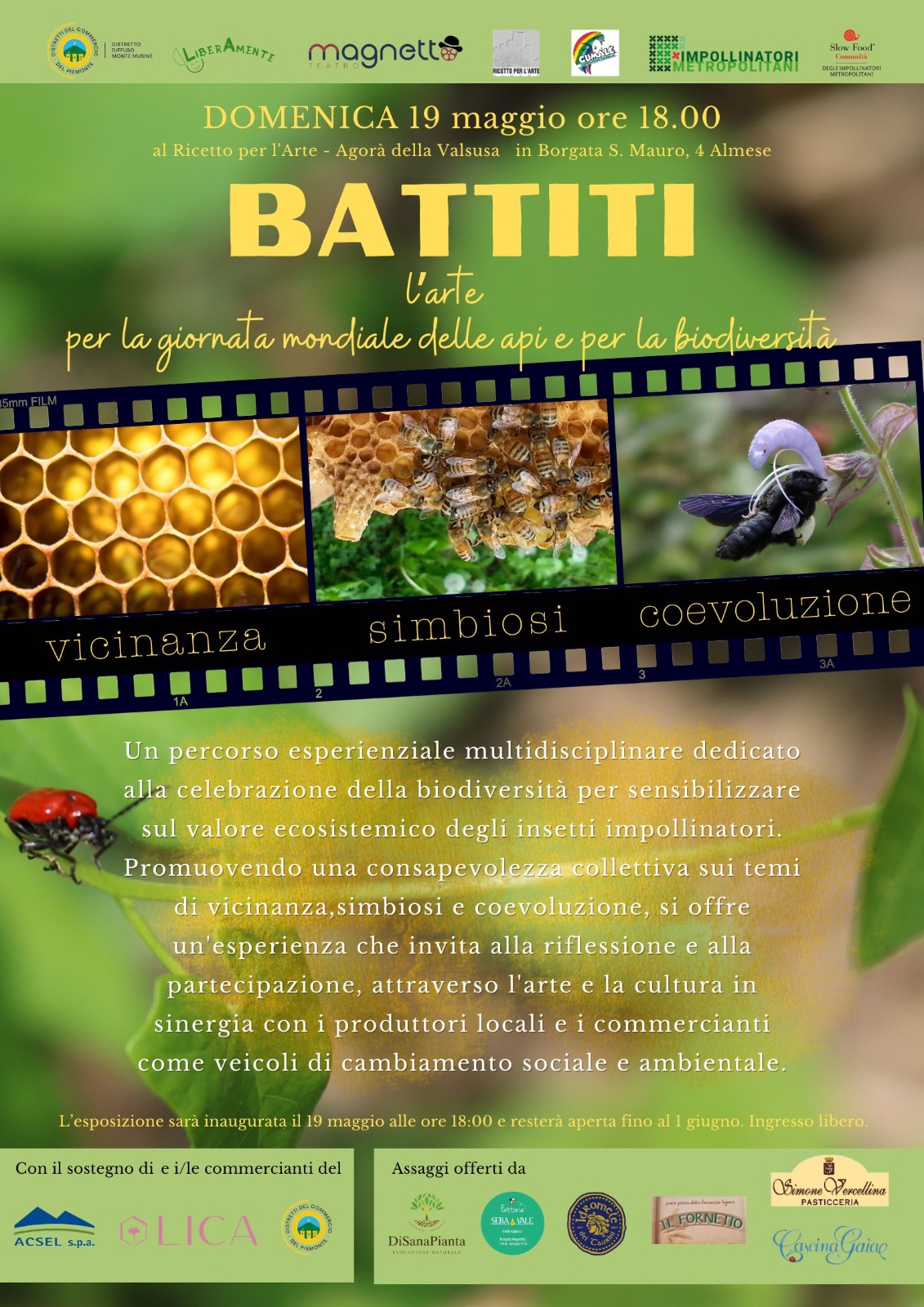 battiti